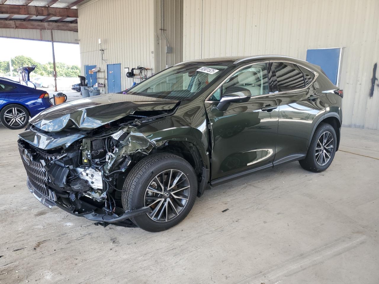 LEXUS NX 2025
