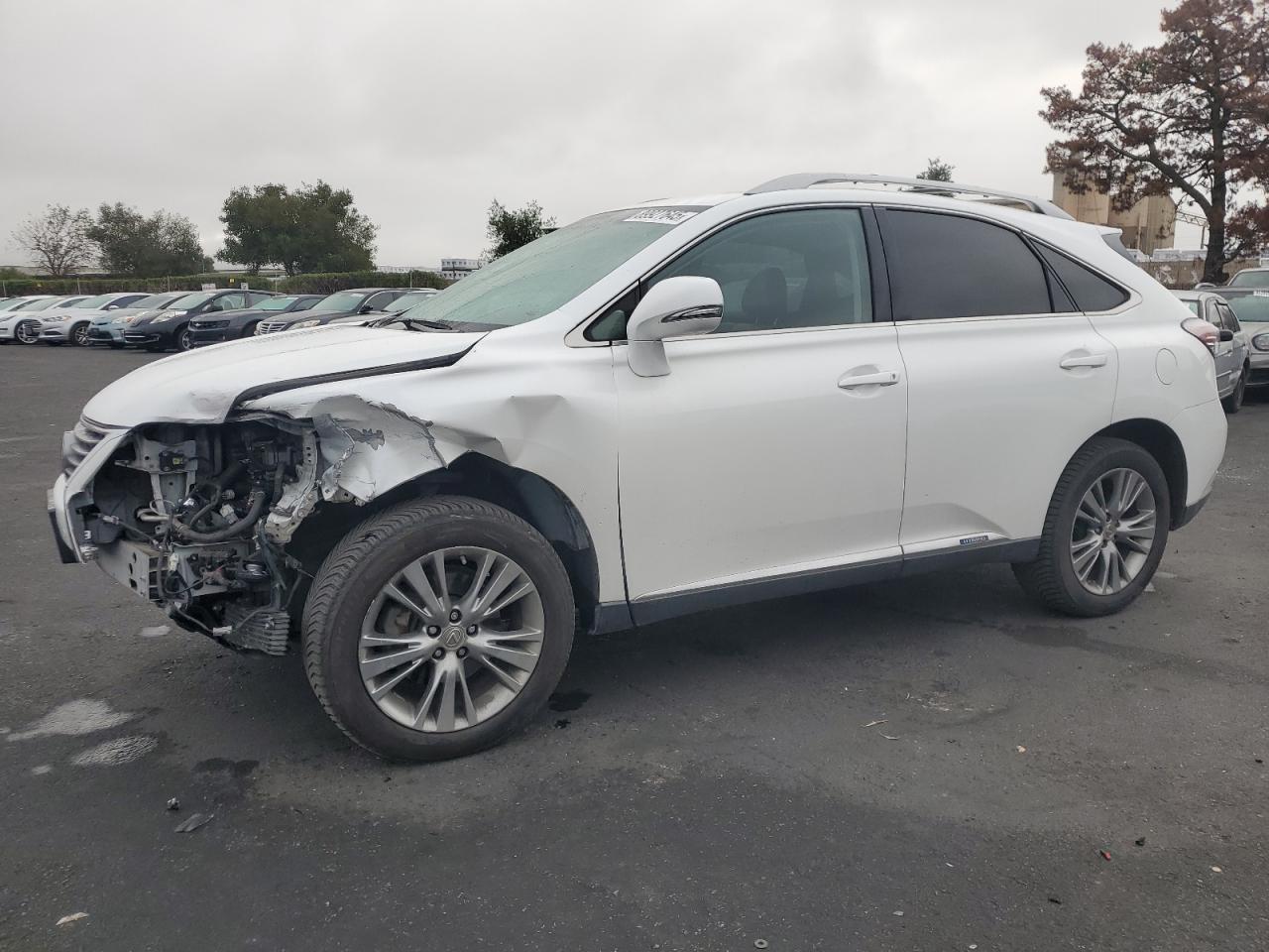 LEXUS RX 2013