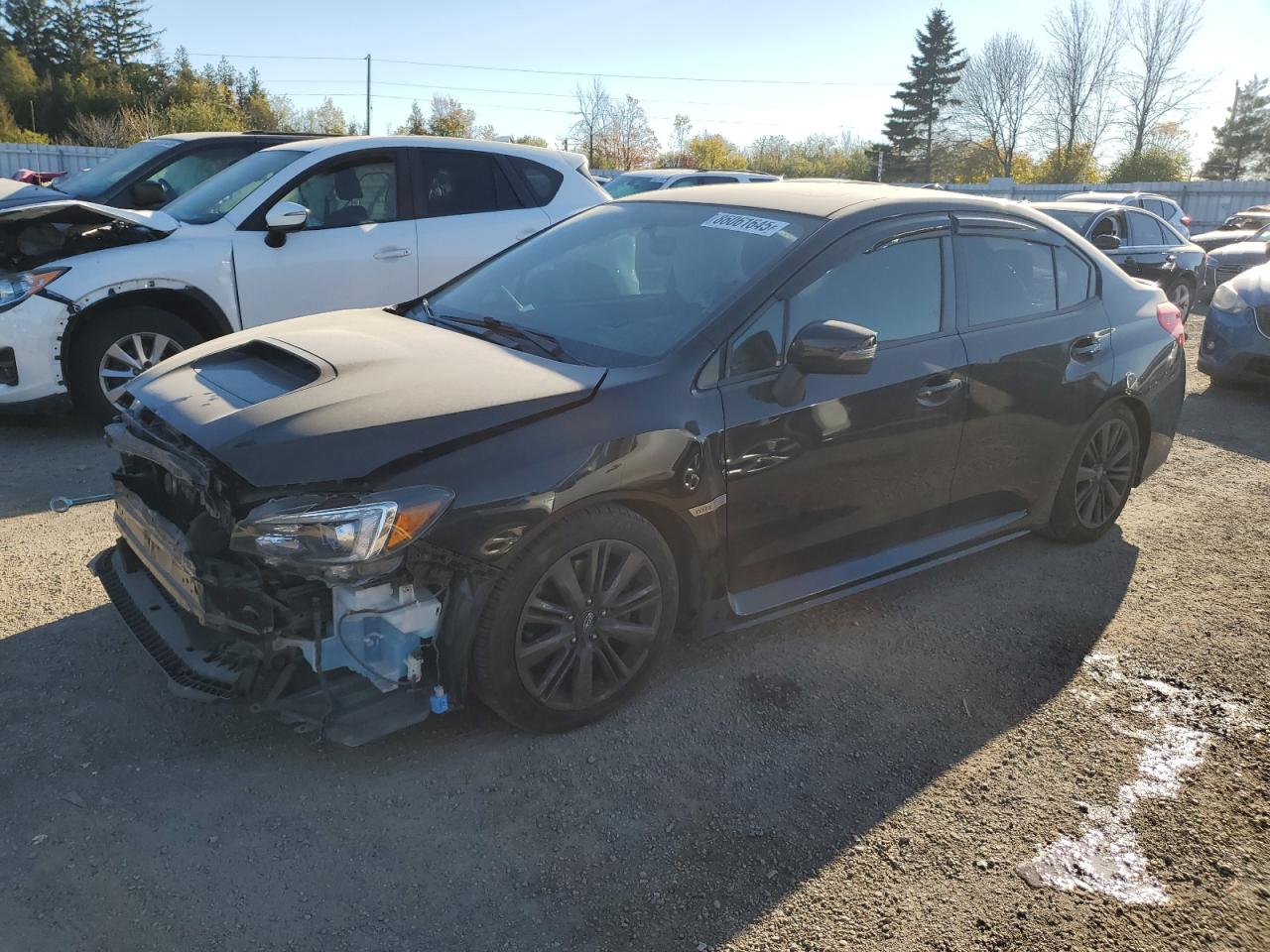 SUBARU WRX PREMIU 2021