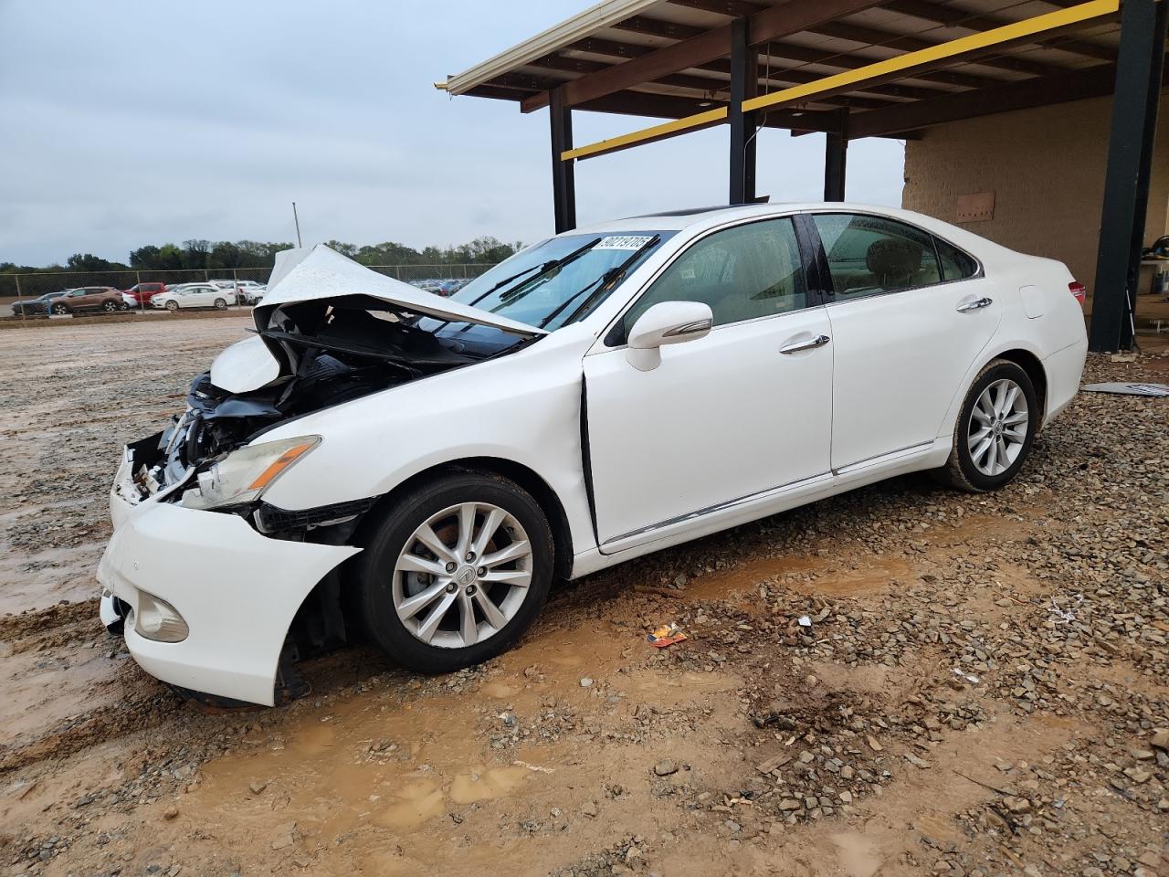 LEXUS ES 2010