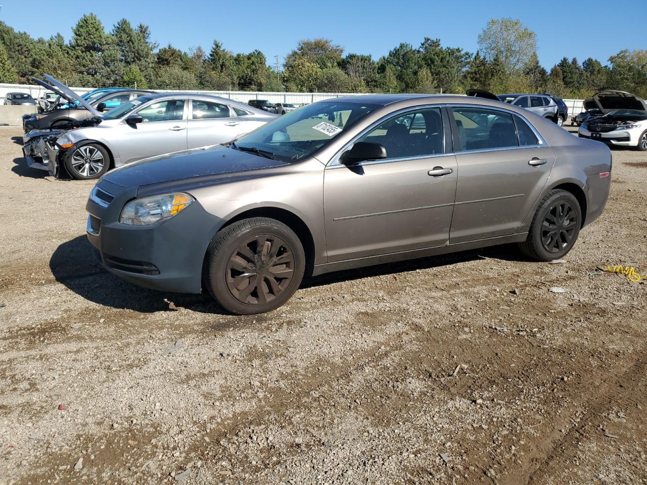 CHEVROLET MALIBU LS 2010