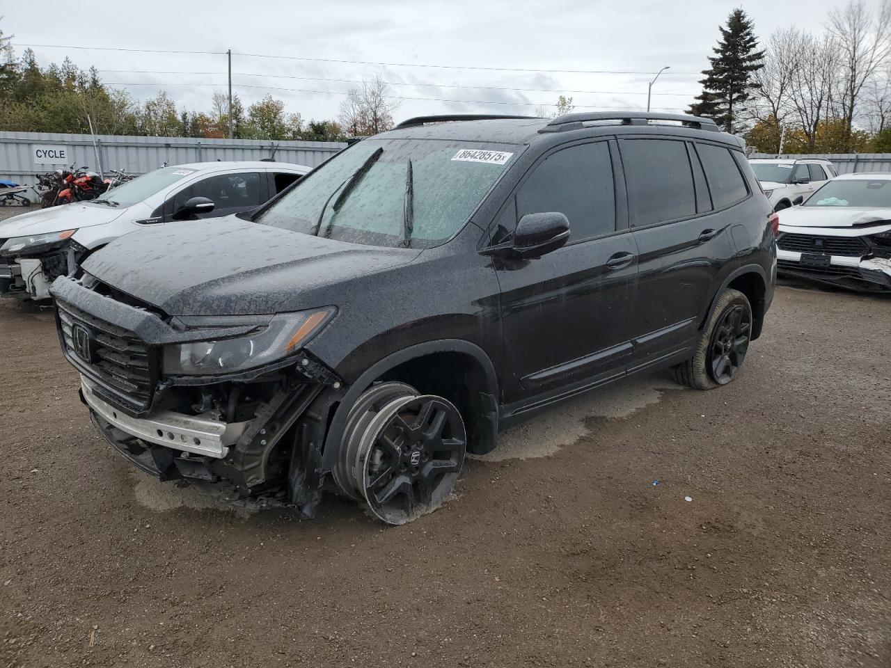 HONDA PASSPORT B 2024