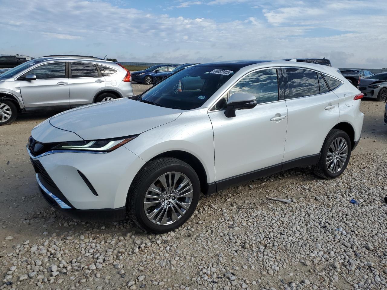 TOYOTA VENZA LE 2024