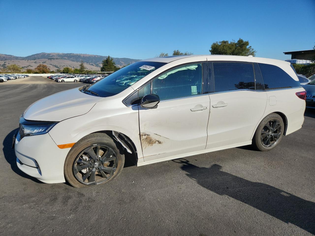 HONDA ODYSSEY SP 2024