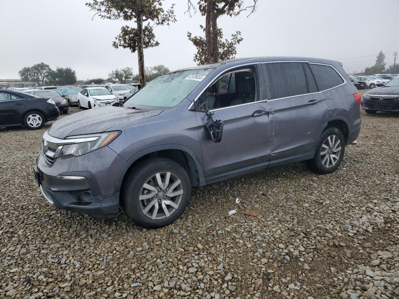 HONDA PILOT 2021