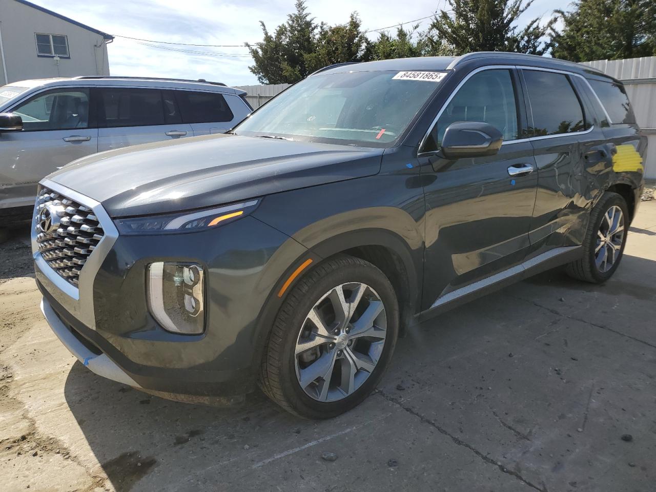HYUNDAI PALISADE C 2020