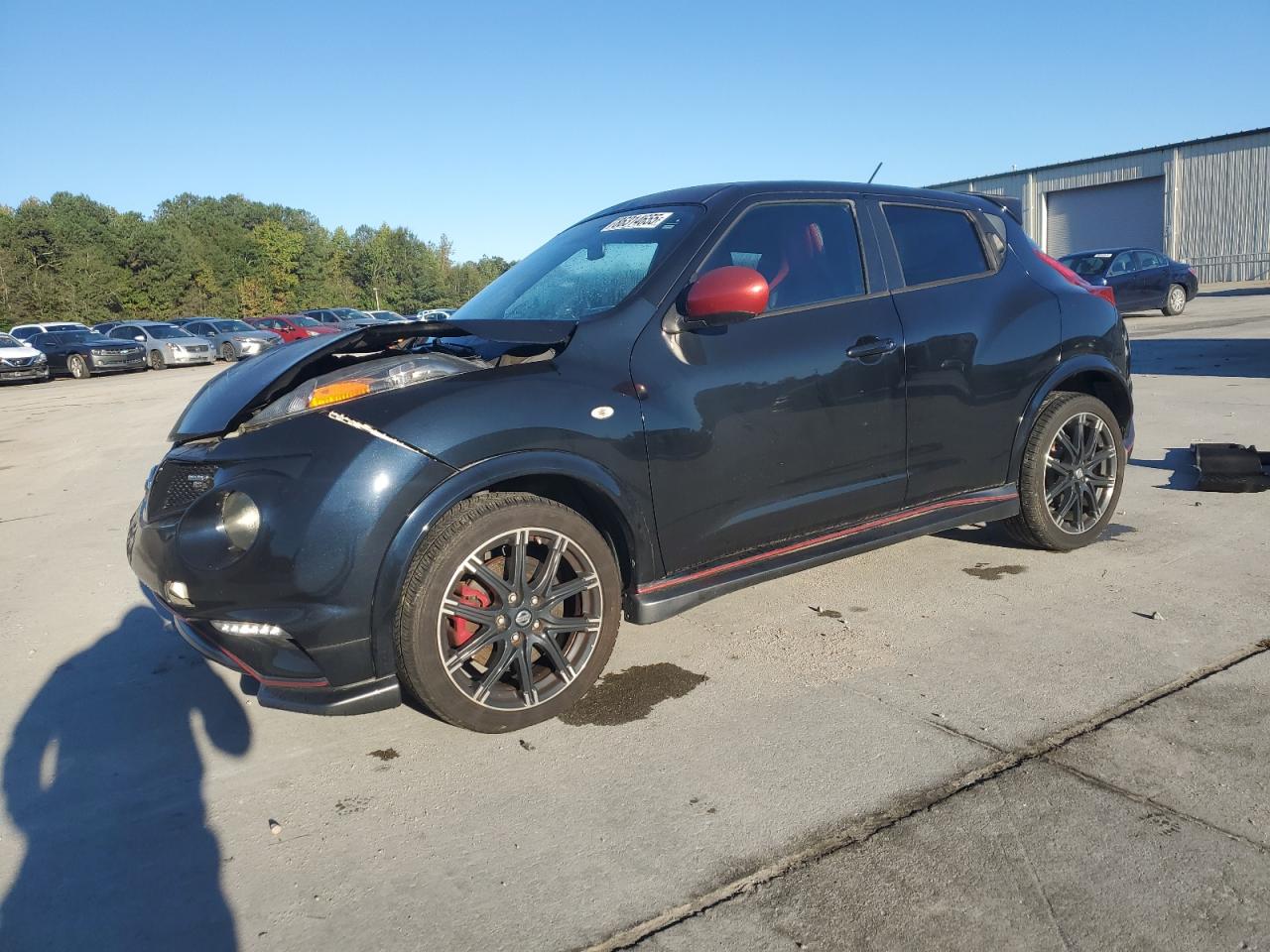 NISSAN JUKE NISMO 2014