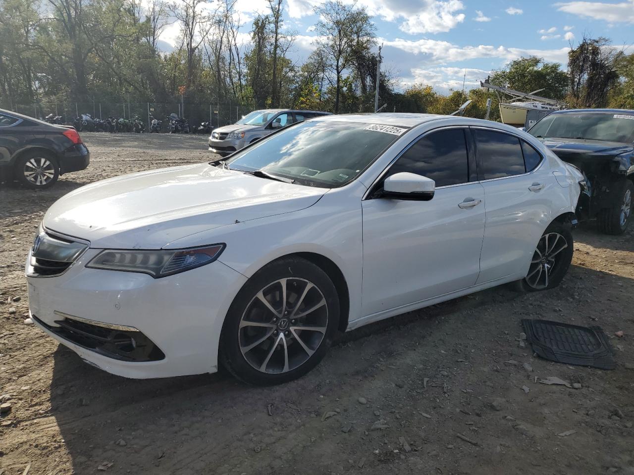 ACURA TLX ADVANC 2015