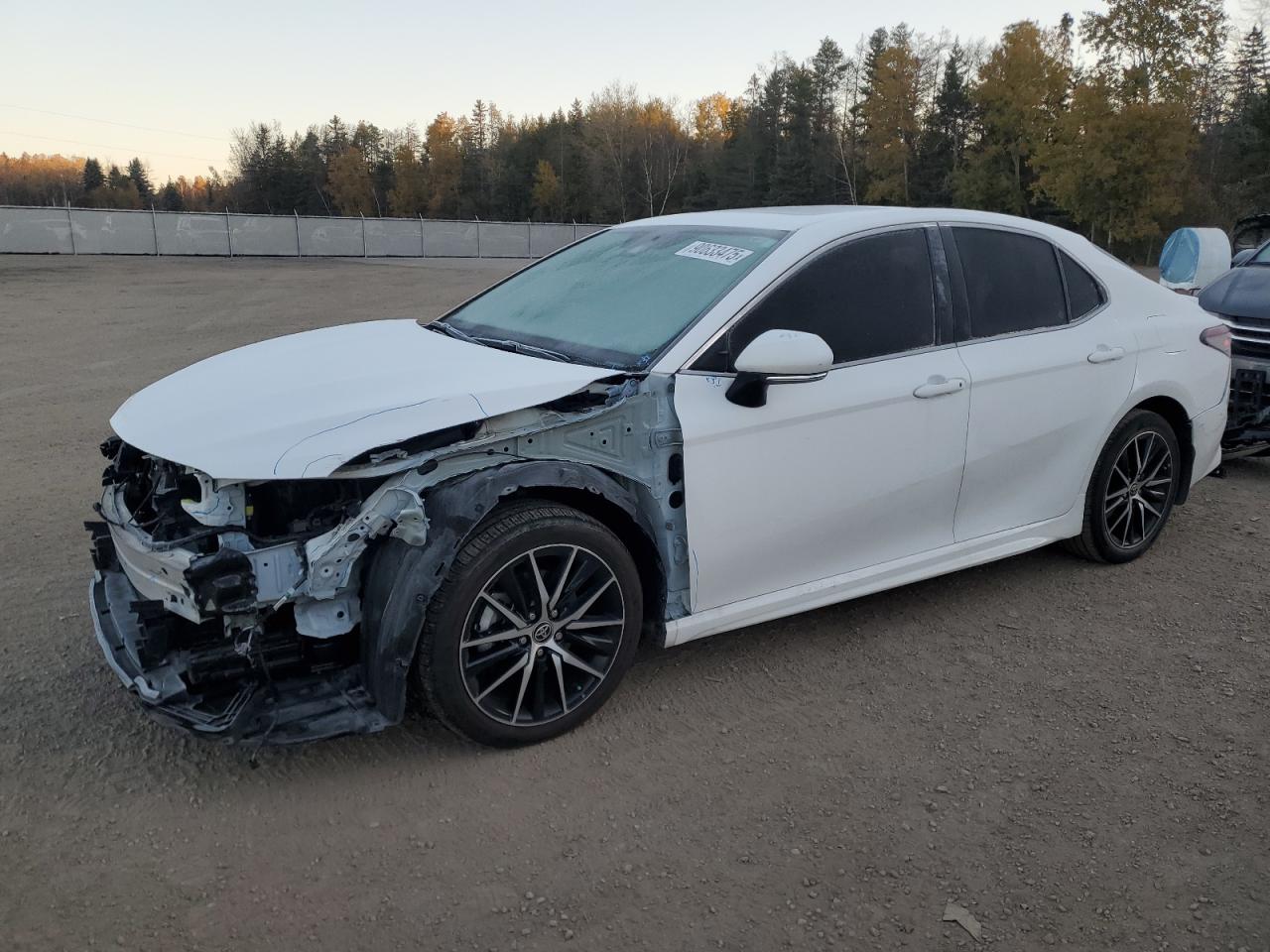 TOYOTA CAMRY SE N 2023