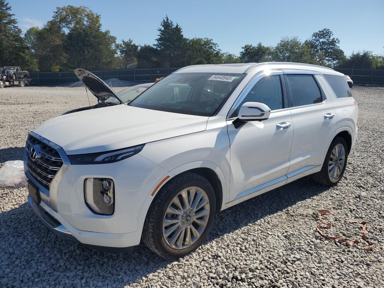 HYUNDAI PALISADE L 2020