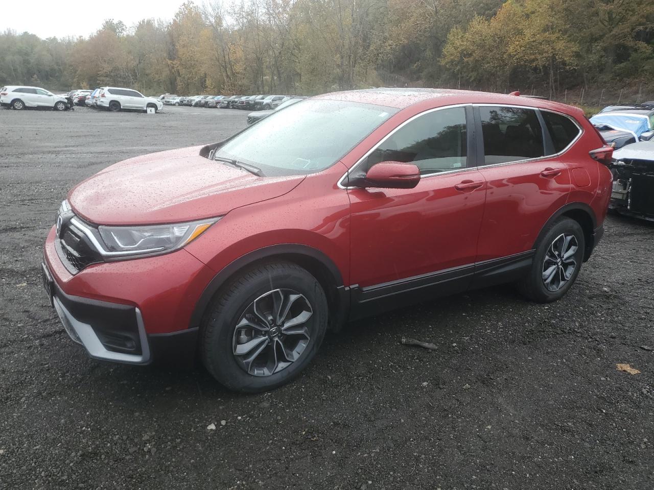 HONDA CR-V EX 2022