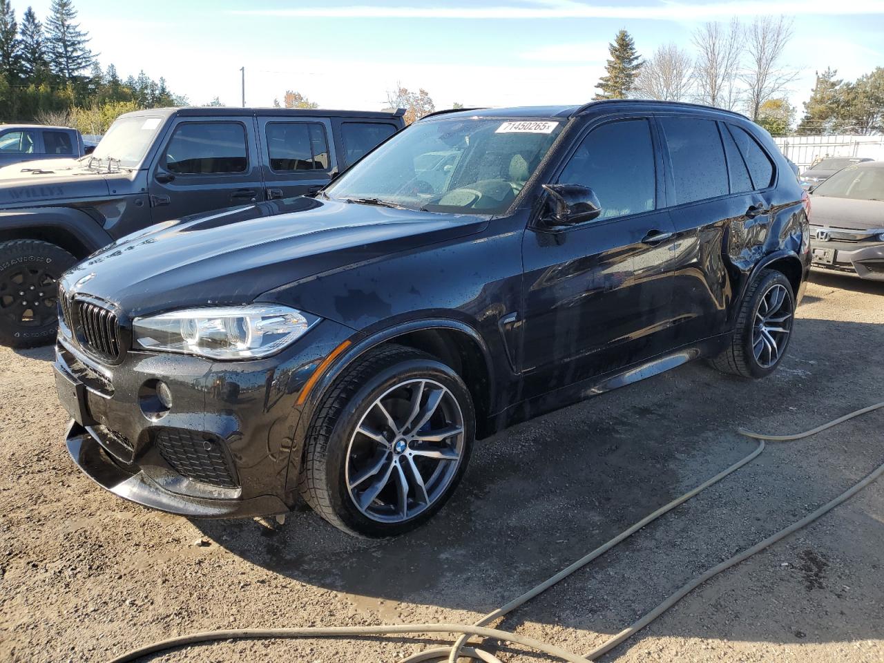 BMW X5 XDRIVE3 2017