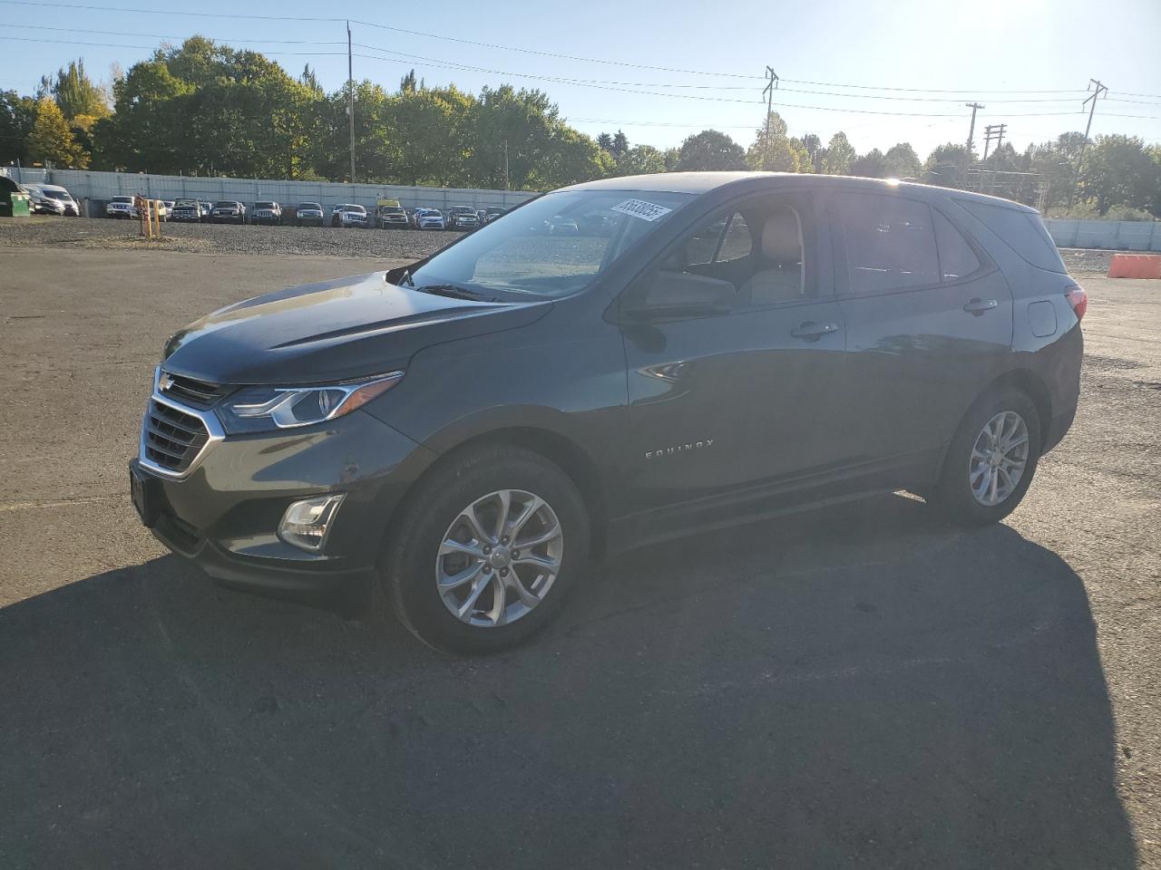 CHEVROLET EQUINOX LS 2019