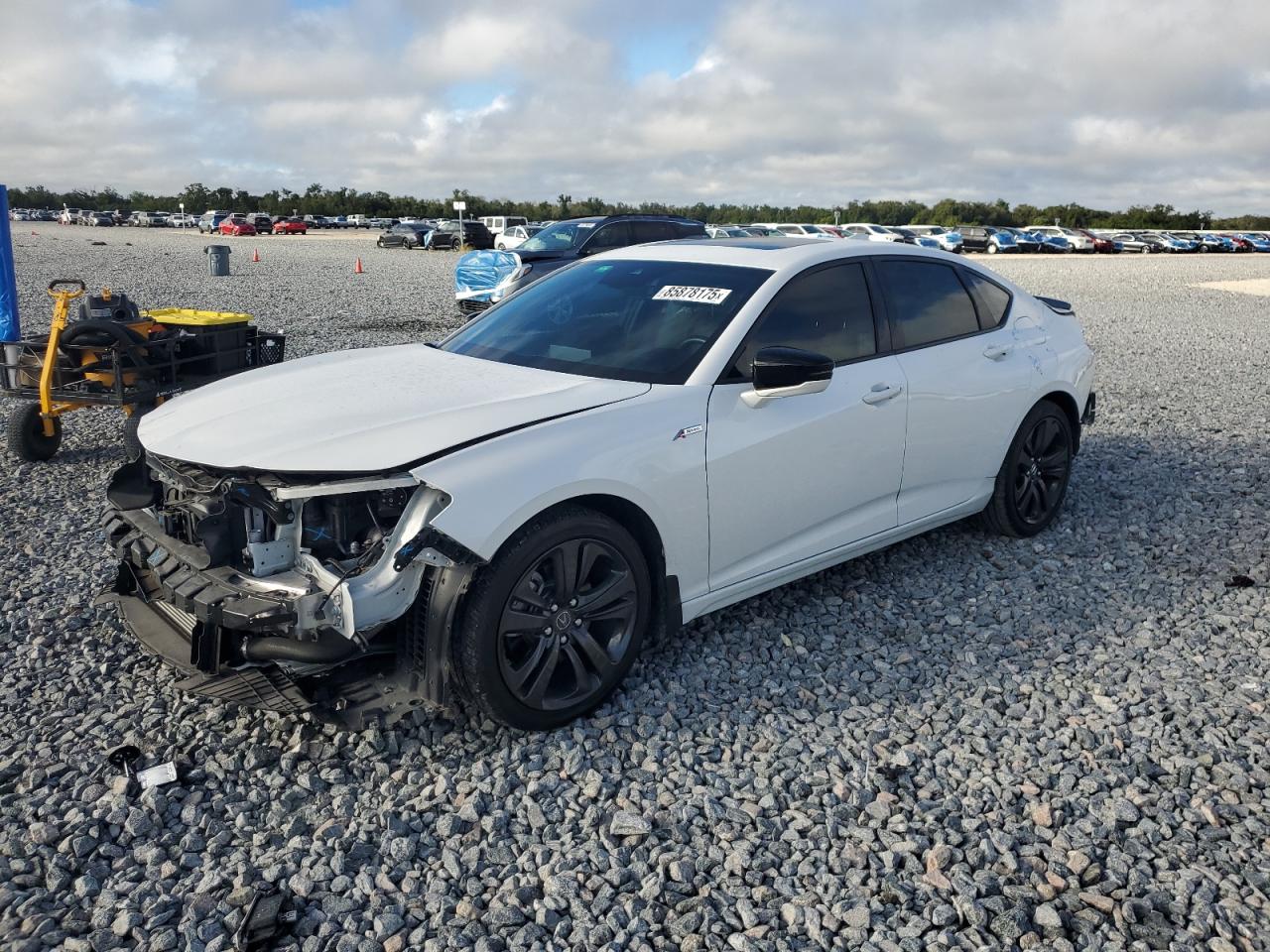 ACURA TLX TECH A 2022