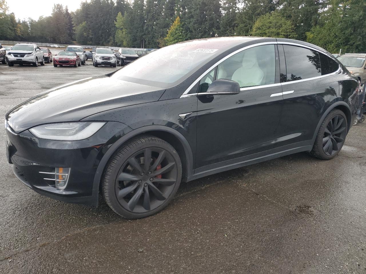 TESLA MODEL X 2018
