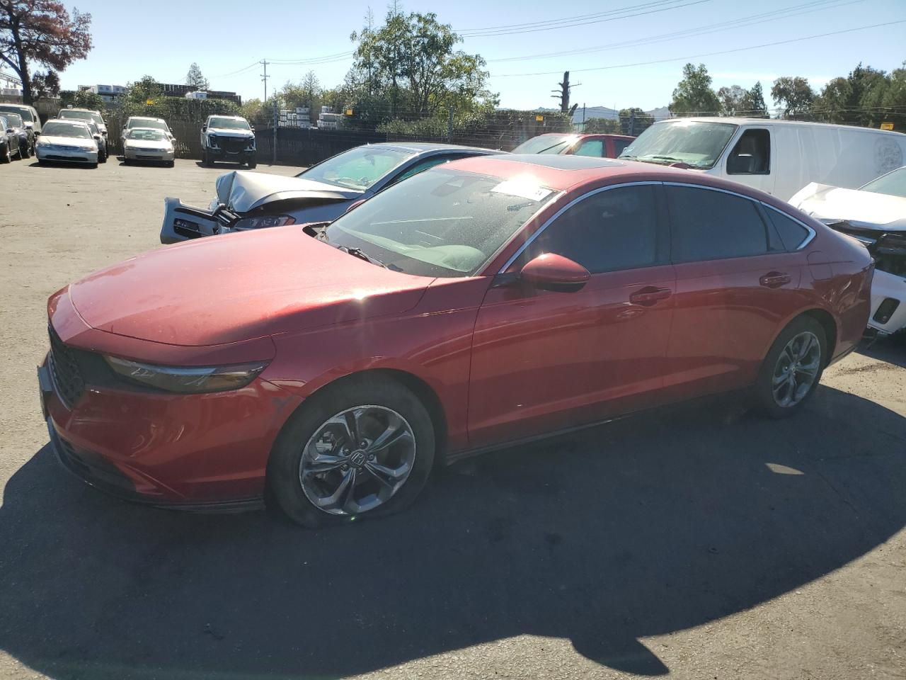 HONDA ACCORD HYBRID EXL 2024