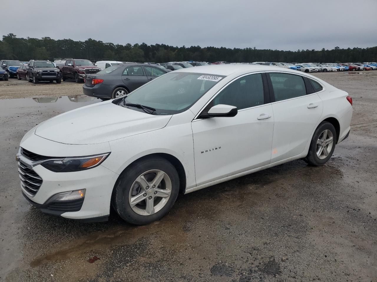 CHEVROLET MALIBU LS 2022