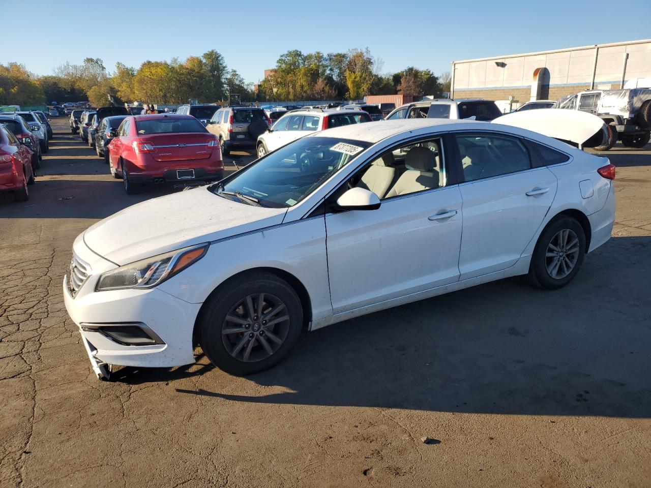 HYUNDAI SONATA 2016