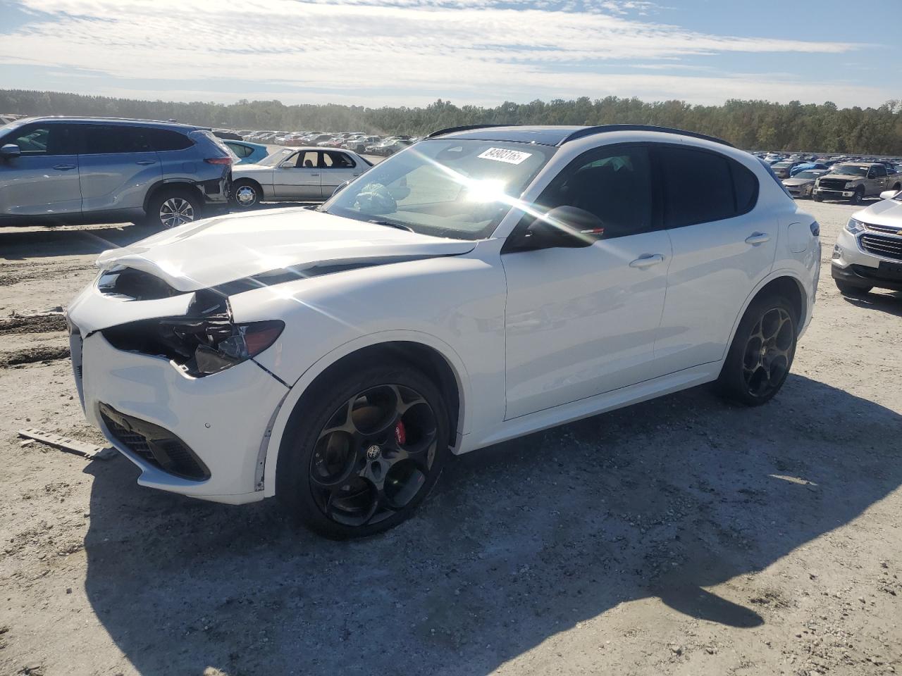 ALFA ROMEO STELVIO TR 2025