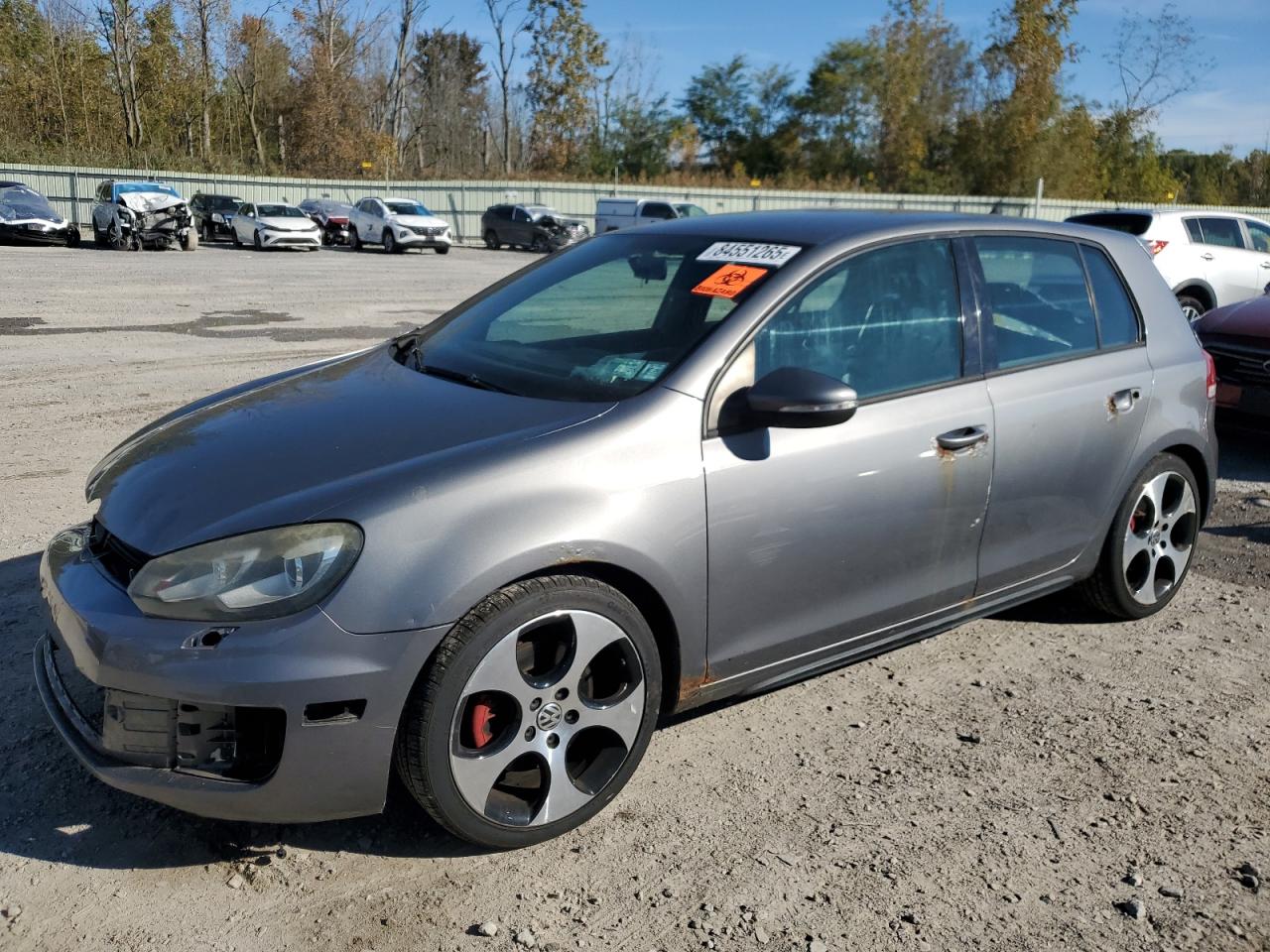 VOLKSWAGEN GTI 2010
