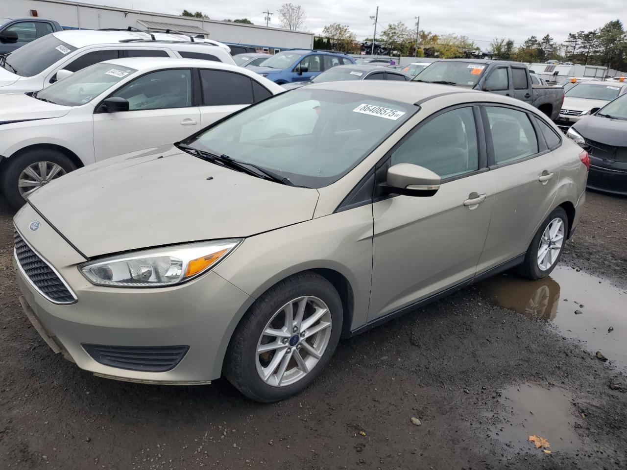 FORD FOCUS SE 2015