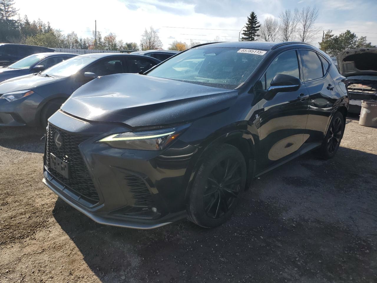LEXUS NX 2022