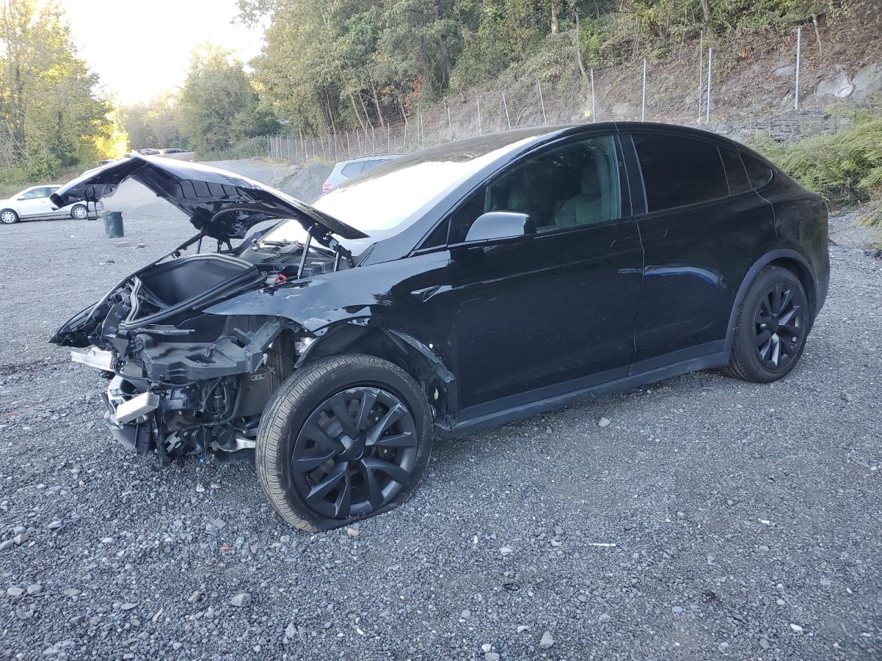 TESLA MODEL X 2022
