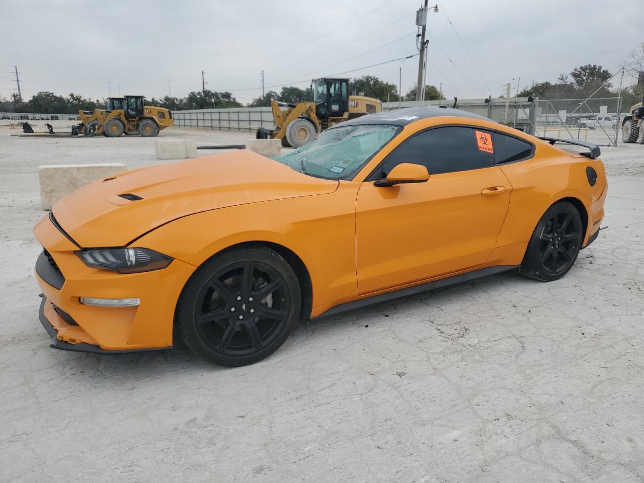 FORD MUSTANG 2019