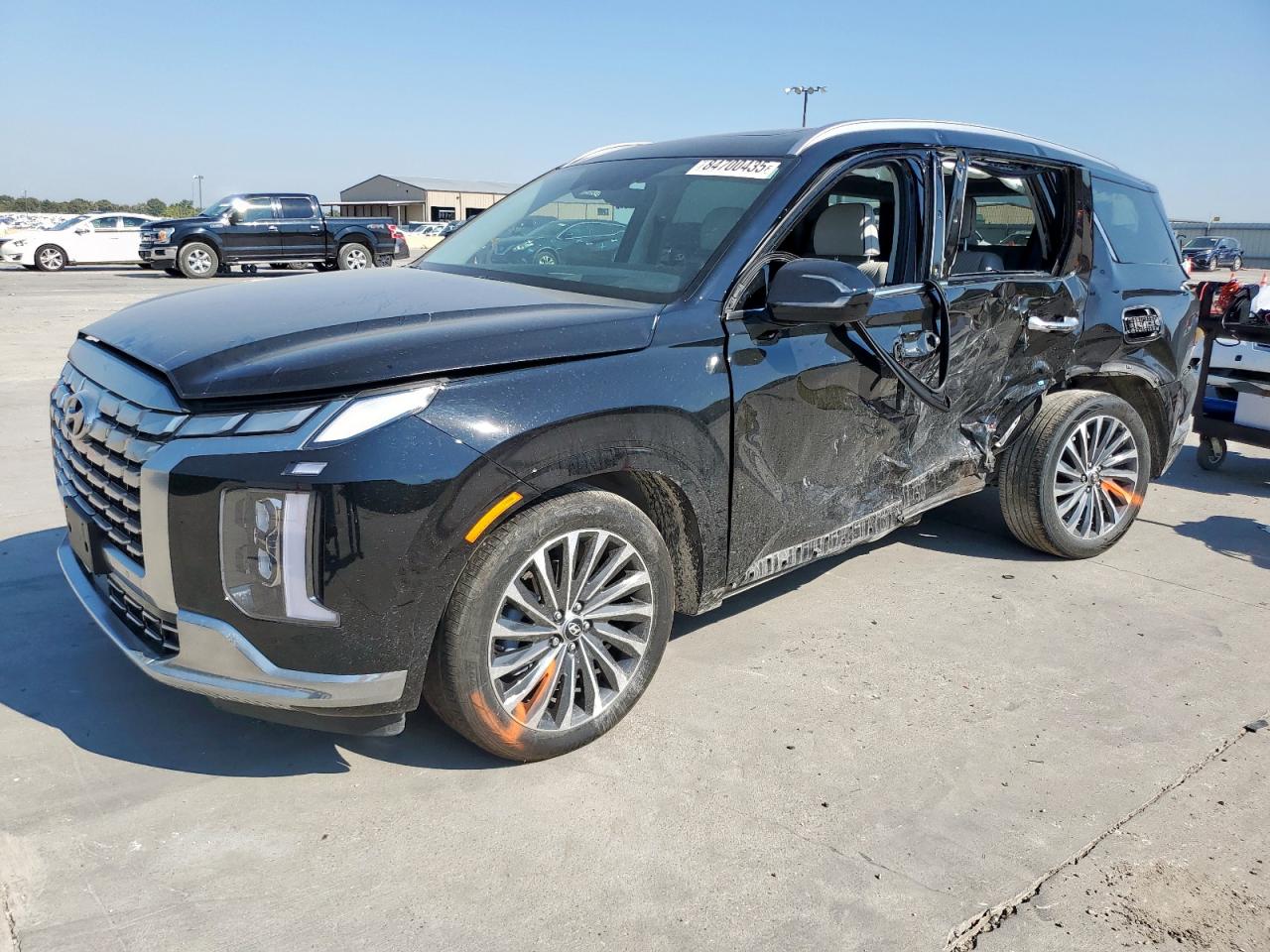 HYUNDAI PALISADE C 2024
