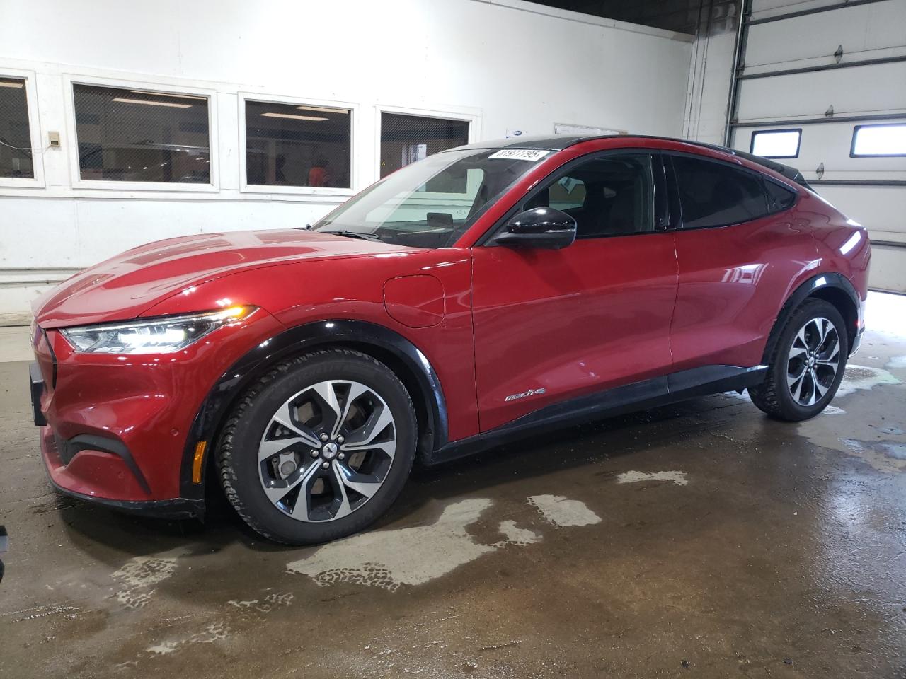 FORD MUSTANG MA 2021