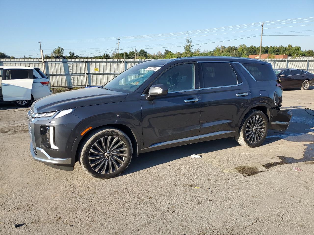 HYUNDAI PALISADE C 2024