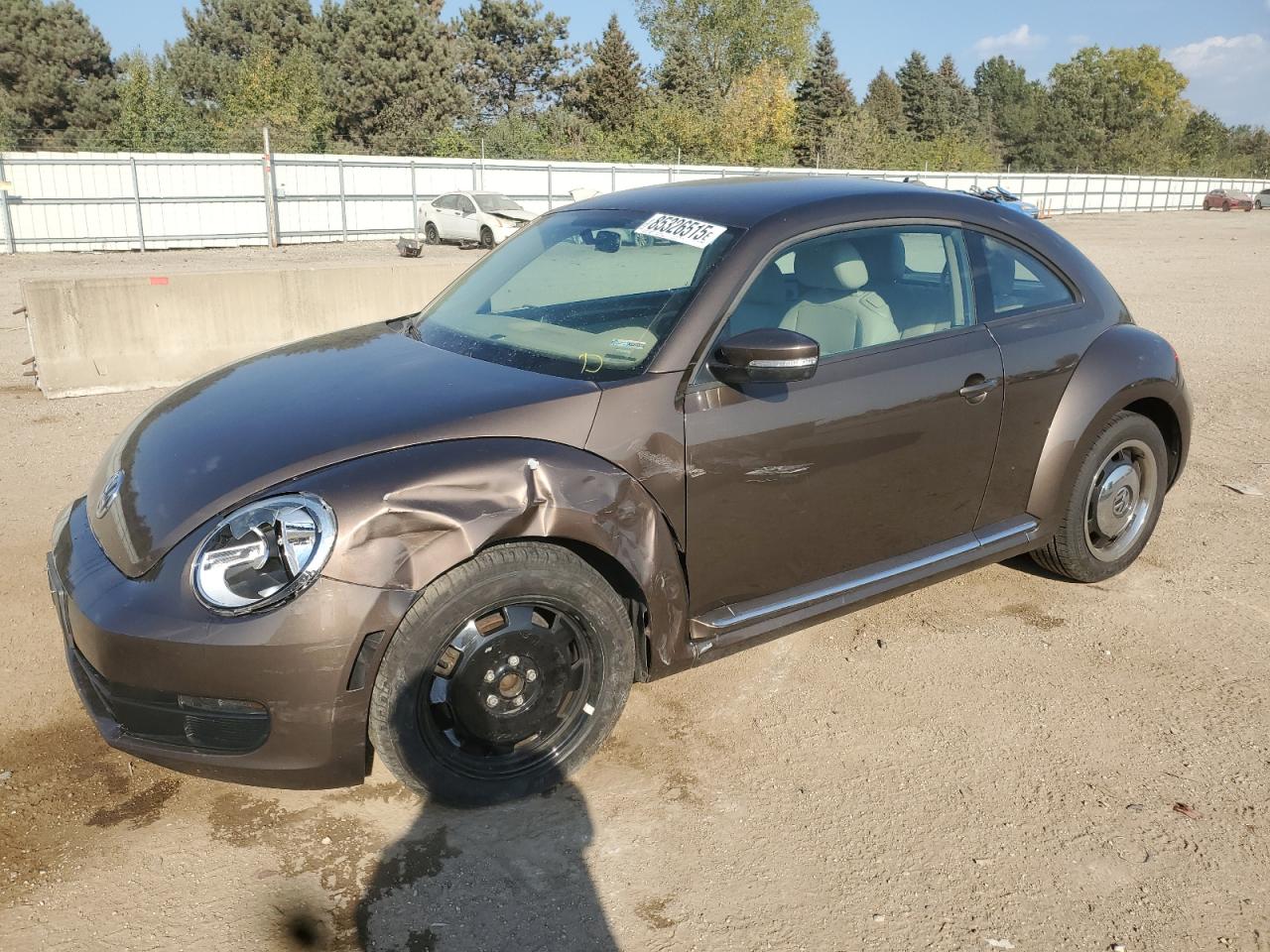 VOLKSWAGEN BEETLE 2012