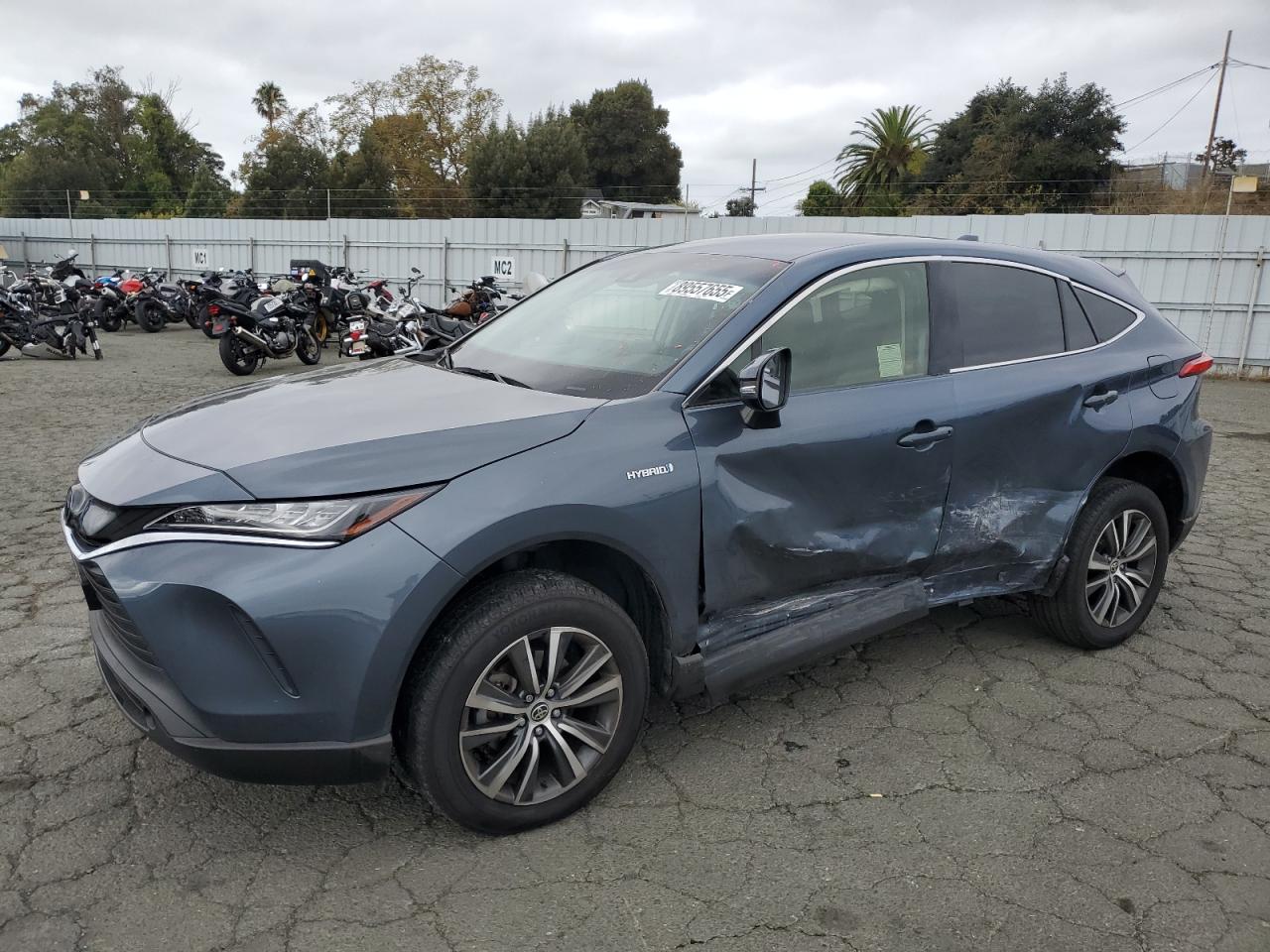 TOYOTA VENZA LE 2021