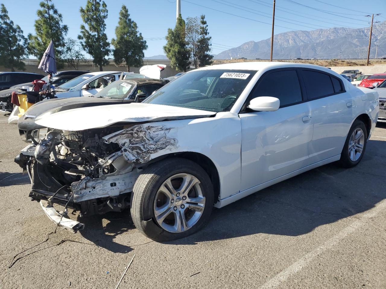 DODGE CHARGER 2019