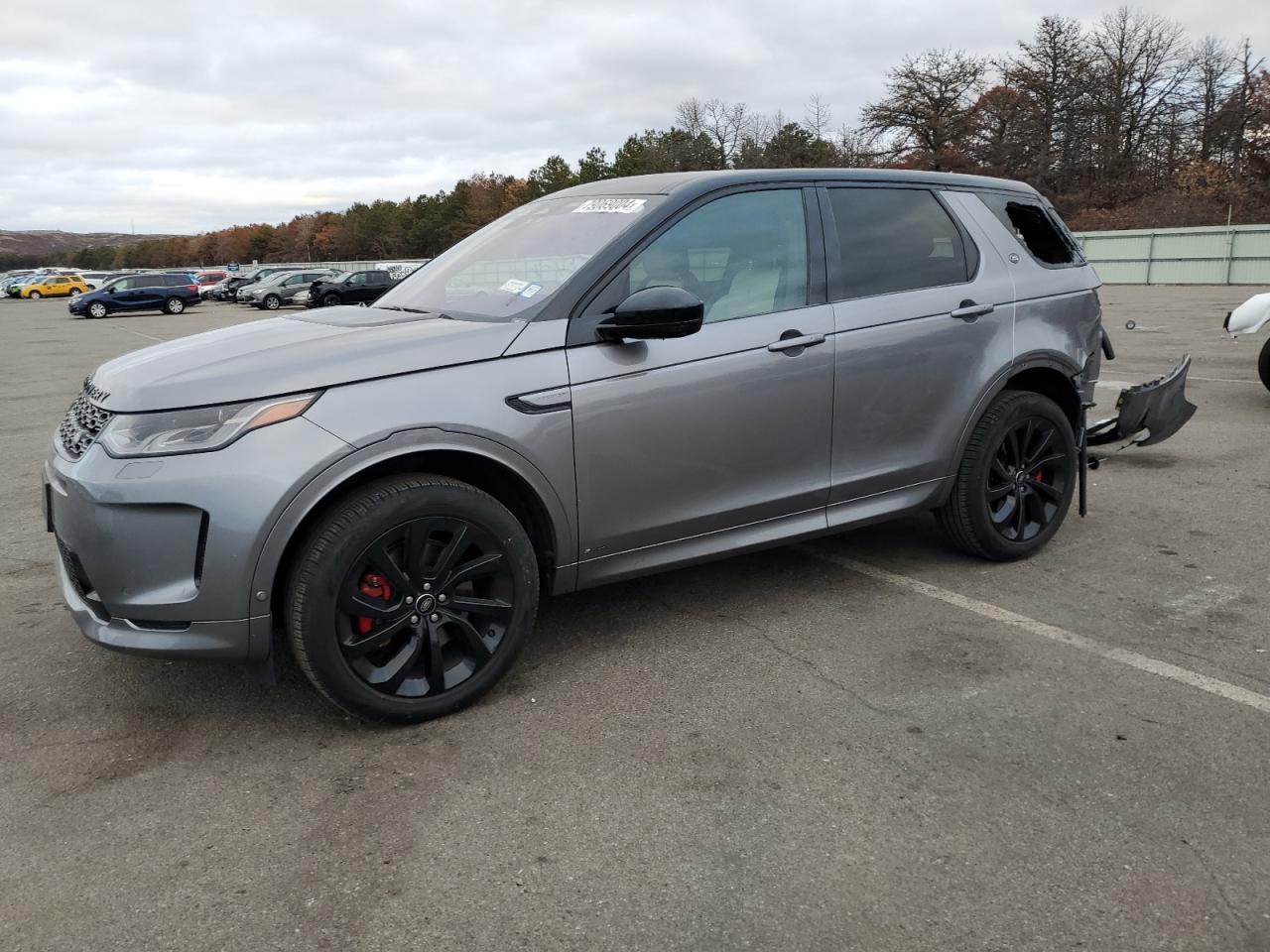 LAND ROVER DISCOVERY 2021