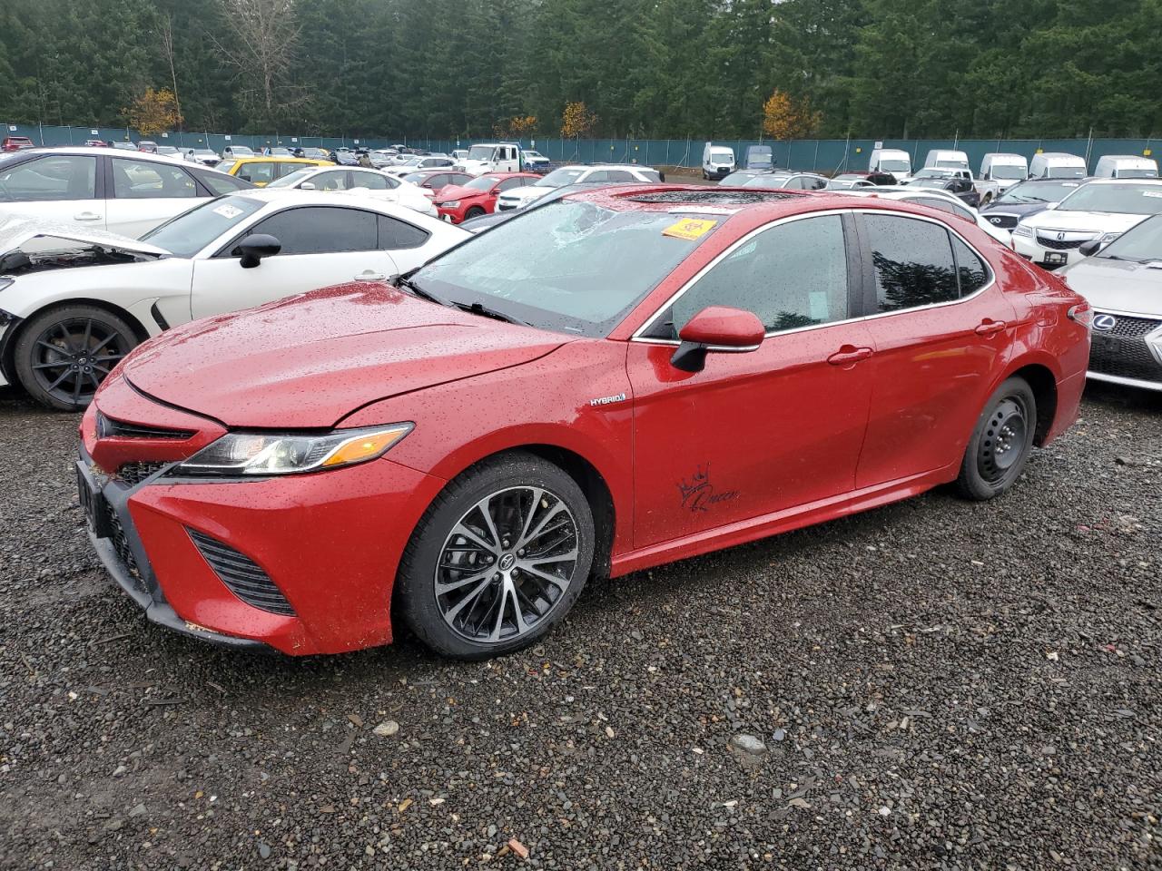 TOYOTA CAMRY HYBR 2019