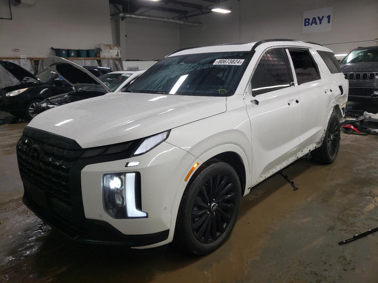HYUNDAI PALISADE C 2024