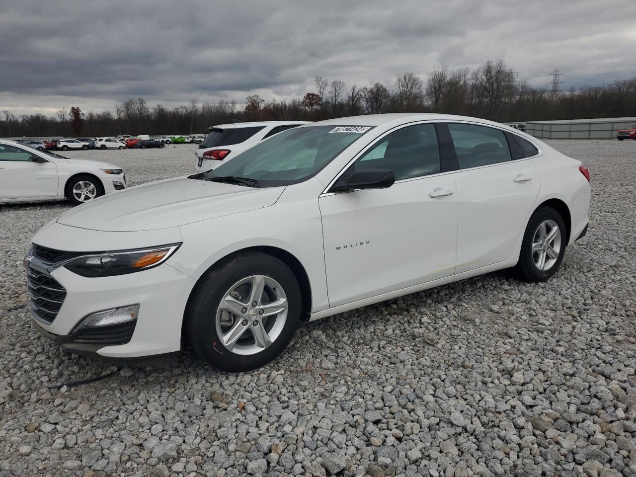 CHEVROLET MALIBU LS 2024
