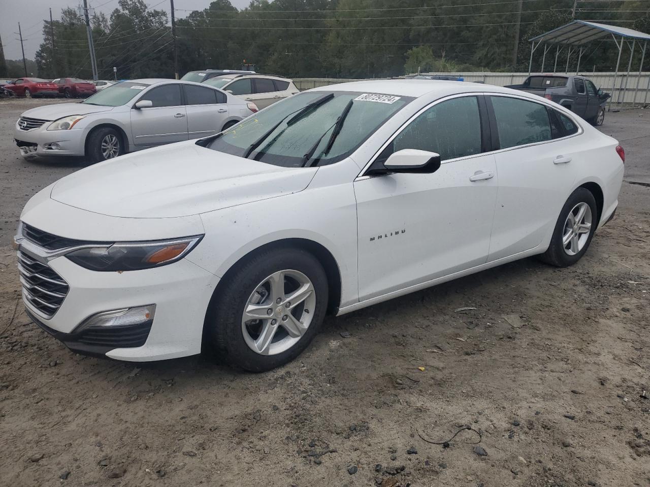 CHEVROLET MALIBU LS 2024