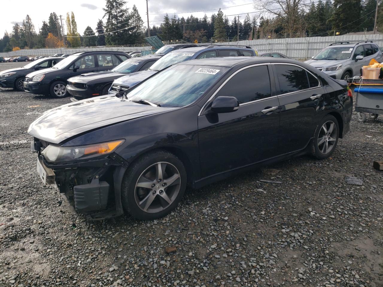 ACURA TSX SE 2013