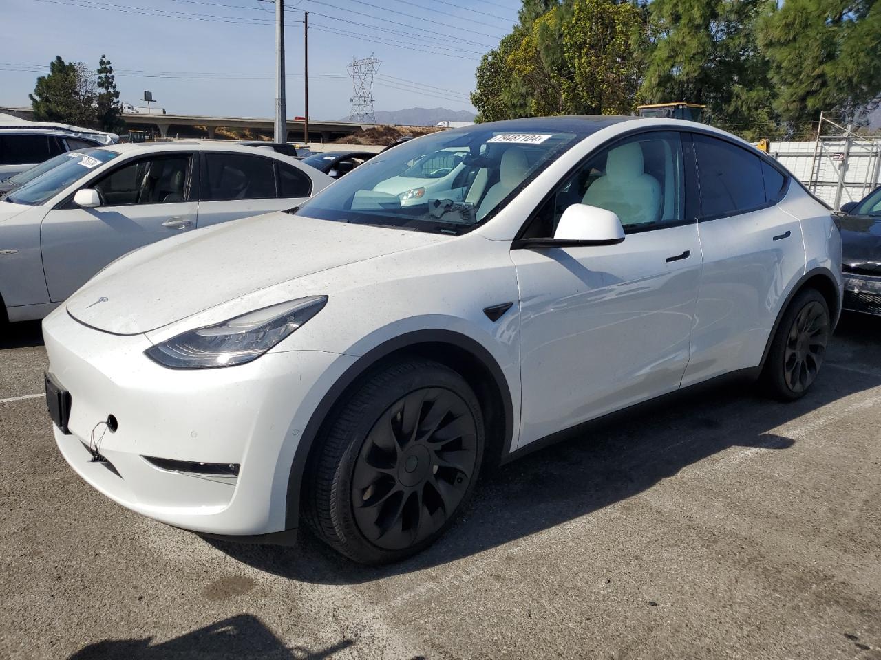 TESLA MODEL Y 2020
