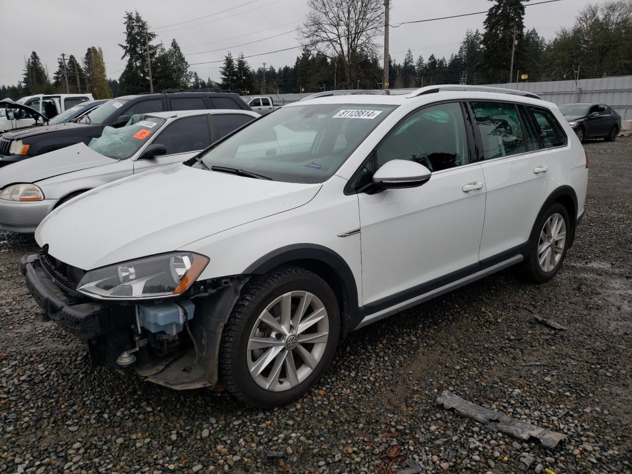 VOLKSWAGEN GOLF ALLTR 2017