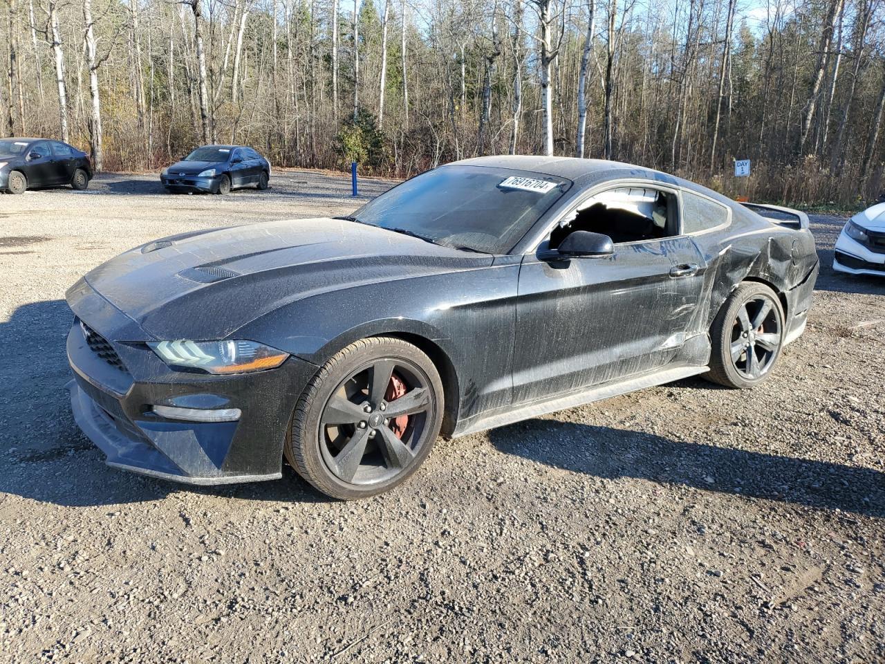 FORD MUSTANG 2019