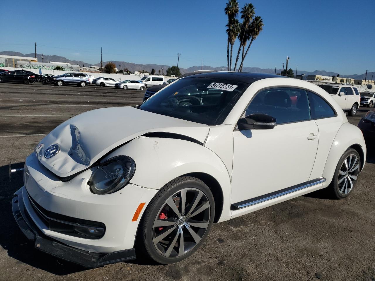 VOLKSWAGEN BEETLE TUR 2013