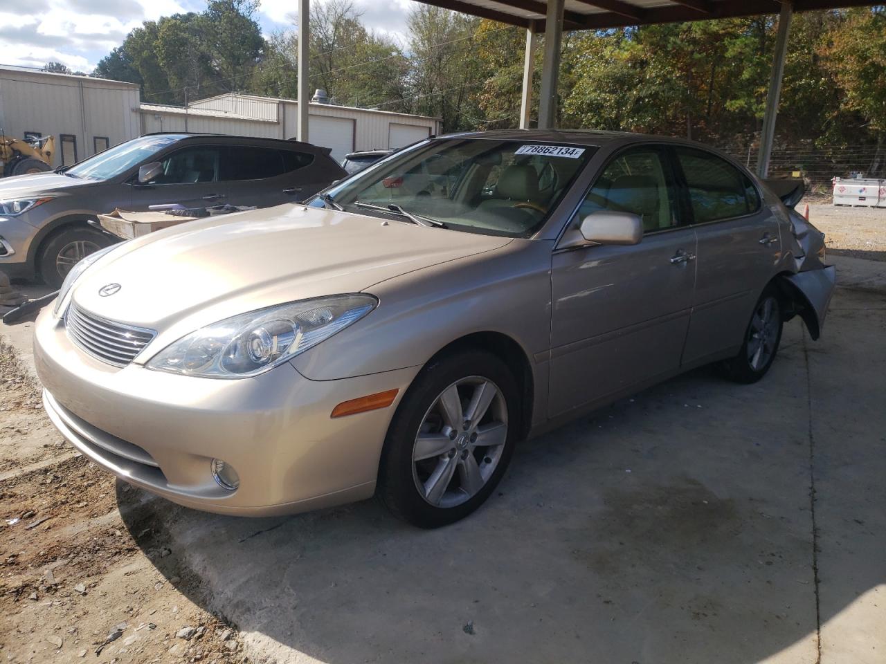 LEXUS ES 330 2005
