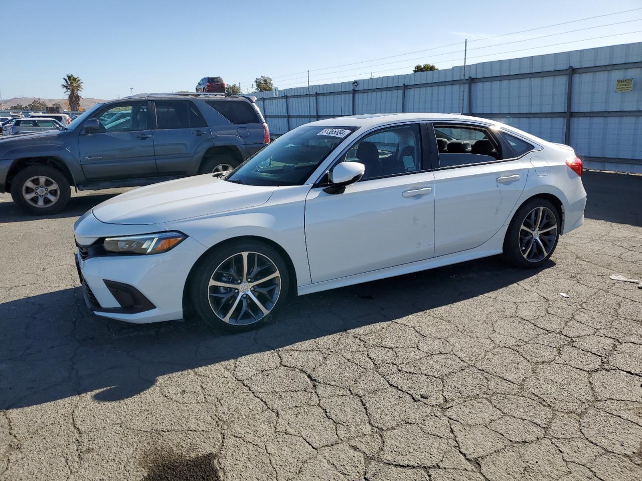 HONDA CIVIC TOUR 2024