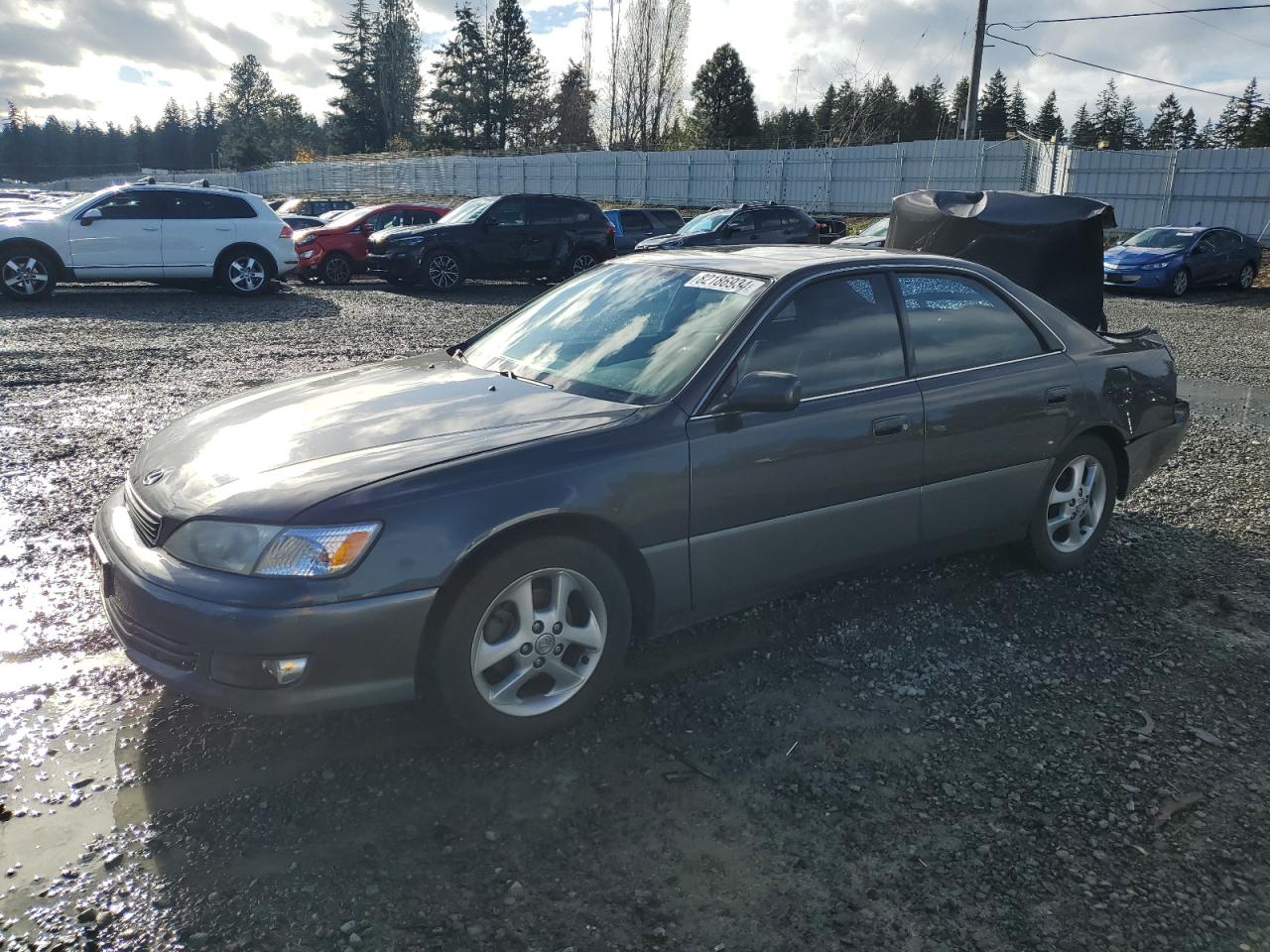 LEXUS ES 300 2001