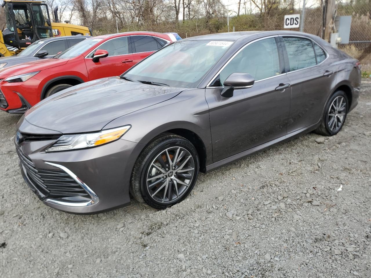 TOYOTA CAMRY XLE 2024