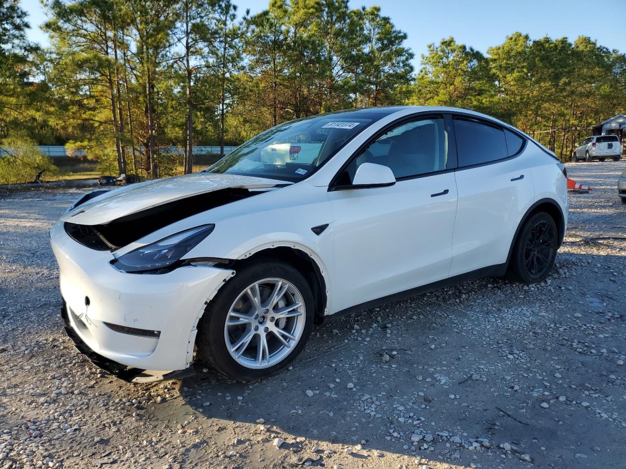 TESLA MODEL Y 2024