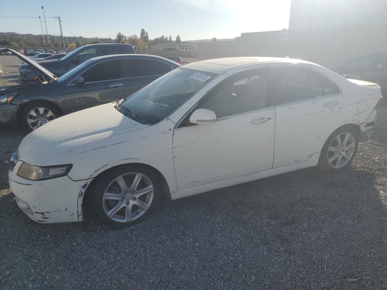 ACURA TSX 2005